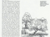 Obstwiese
